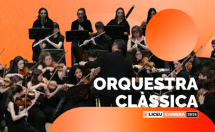 Classical Orchestra Concert