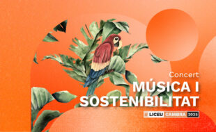 Music and Sustainability Concert, A Song for the Amazon