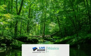 Music and Nature, sonic dialogues about our planet